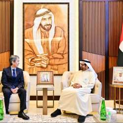 Japanese Parliament discuss accelerating cooperation