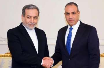 وزير الخارجية المصري ونظيره الإيراني