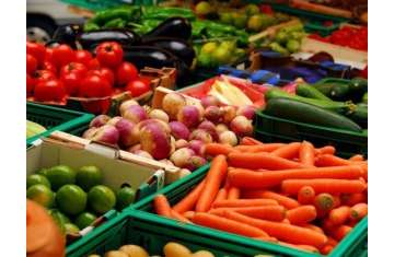 الصادرات الزراعية