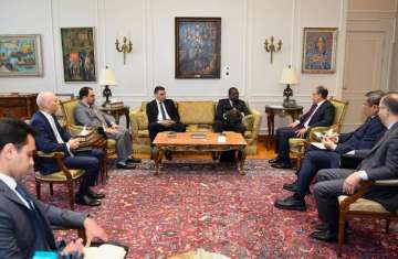 وزير الخارجية المصري خلال اللقاء