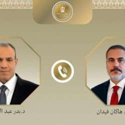 وزير الخارجية المصري ونظيره التركي