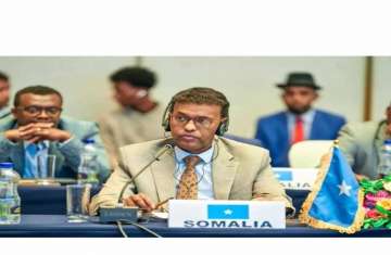 مندوب الصومال بالاتحاد الأفريقي