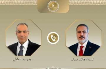وزير الخارجية المصري ونظيره التركي