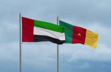 الإمارات والكاميرون