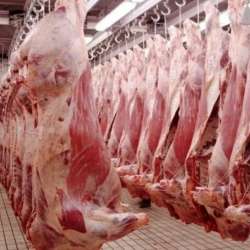 اللحوم الاسترالية