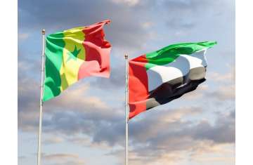 الإمارات والسنغال