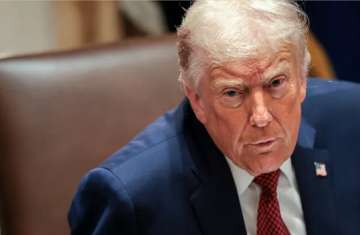 الرئيس الأميركي دونالد ترامب