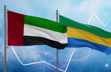 الإمارات والغابون