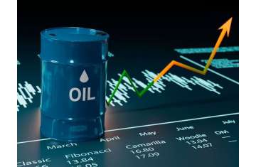 صوره ارشيفيه