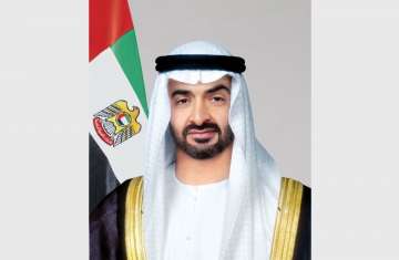 الرئيس الإماراتي