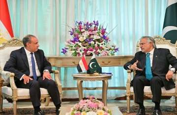 وزيرا خارجية باكستان ومصر