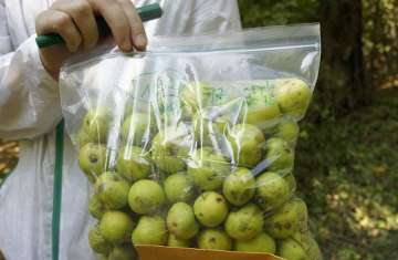 محاصيل زراعية