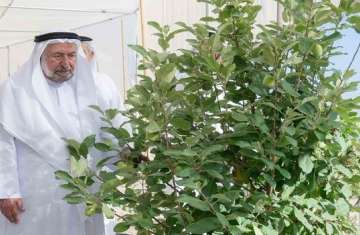 حاكم الشارقة