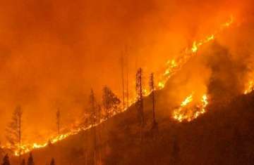 حرائق غابات النمسا