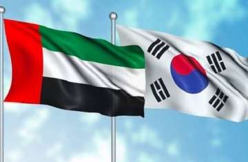كوريا والإمارات