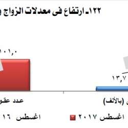 معدلات الزواج والطلاق بمصر