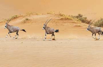 صورة تعبيرية