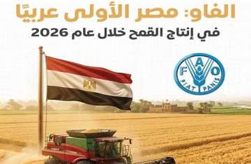 الفاو