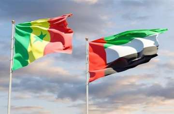 الإمارات والسنغال
