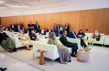 المجلس الإماراتي للاستثمار