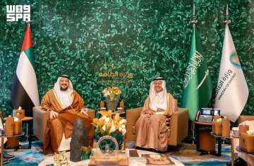 الوزيران السعودي والإماراتي