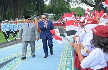 الرئيس السيسي ونظيره الإندونيسي