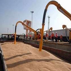 وصول باخرة تحمل 30 ألف طن قمح إلى ميناء الأسكندرية