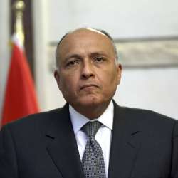 وزير الخارجية المصري سامح شكرى