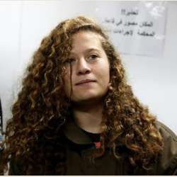 عهد التميمي