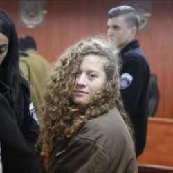 عهد التميمي