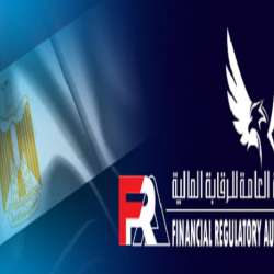 الرقابة المالية المصرية 