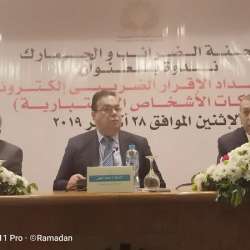 مستشار وزير المالية