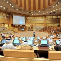 للمجلس الوطني الاتحادي