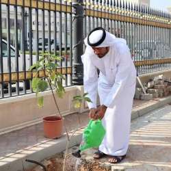  أسبوع التشجير الـ 40