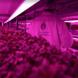 المنتجات الزراعية