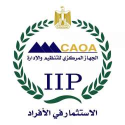 التنظيم والإدارة