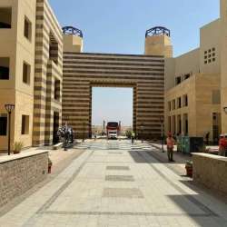 جامعة الملك سلمان