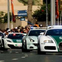 شرطة دبي