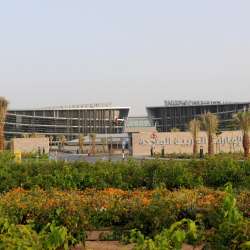 جامعة الإمارات