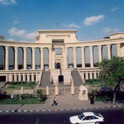 الدستورية العليا