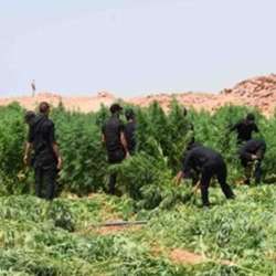 أرشيفية