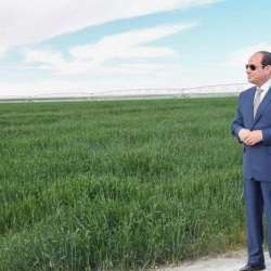 السيسي