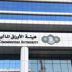 هيئة الأوراق المالية