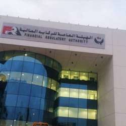 الرقابة المالية