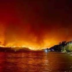 حرائق الغابات من كندا