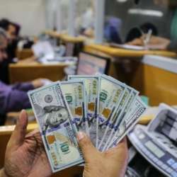 سعر الدولار
