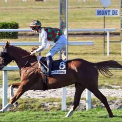 Toulouse Racecourse to host Sheikh Zayed bin Sultan Al Nahyan Cup (Gr1 PA) Monday