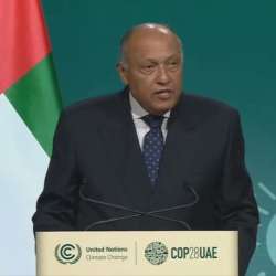 وزير الخارجية المصري