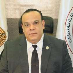 المستشار حازم بدوي