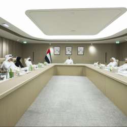 مجلس الإمارات للإعلام